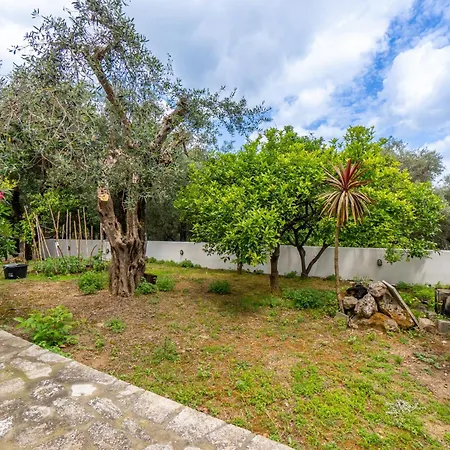 Apartament The 1 Vigglatouri